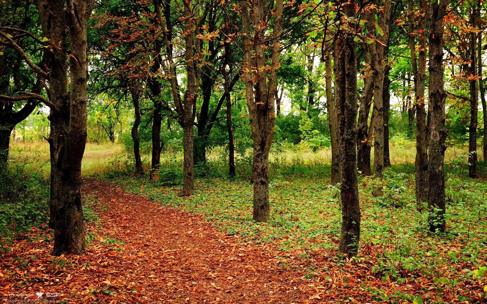 米兰体育APP-中超主场与客场得分节奏差异研究,中超联赛主客场 第3张 米兰体育APP-中超主场与客场得分节奏差异研究,中超联赛主客场 第3张