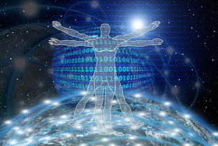 米兰体育官网-中超俱乐部人才流动数据年鉴报告，中超俱乐部每年投入