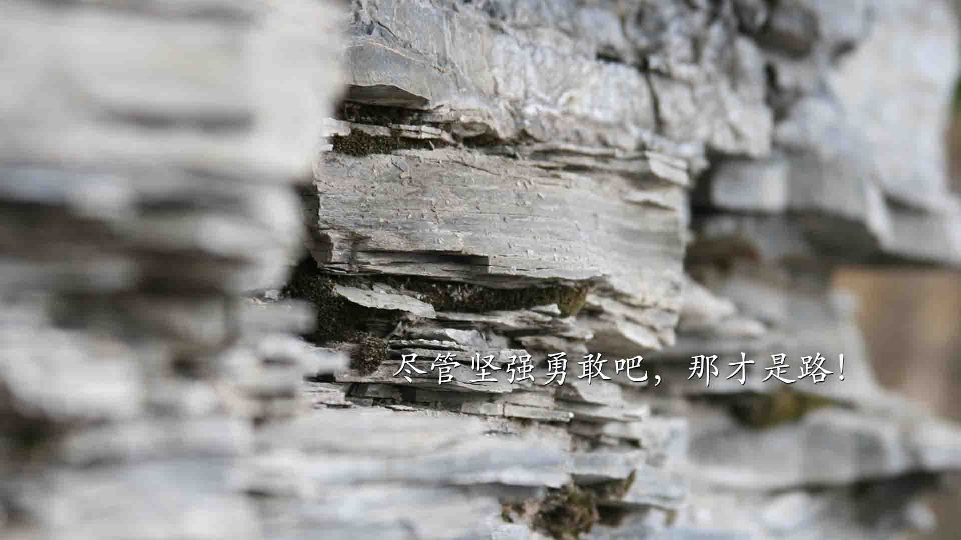 米兰体育官网-德甲火热：拜仁慕尼黑连续五场不败领跑联赛，拜仁慕尼黑阵型2021