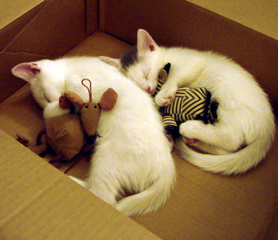 米兰体育-法甲VAR系统语义分析提高裁判判罚一致性研究，var技术足球