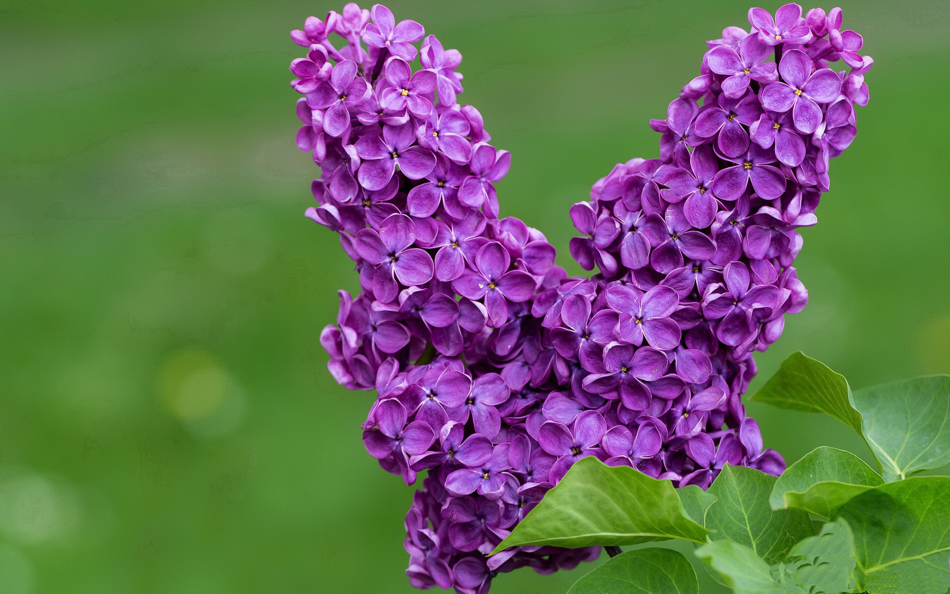 米兰体育-乒坛对决马龙再战樊振东，马龙和樊振东男乒决赛直播