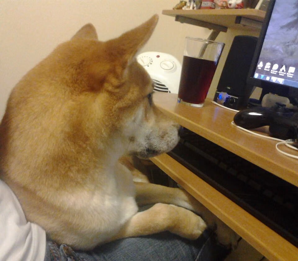 -印度乒乓队未来：增强国际交流与训练合作，拓宽发展路径，印度乒乓球厉害吗