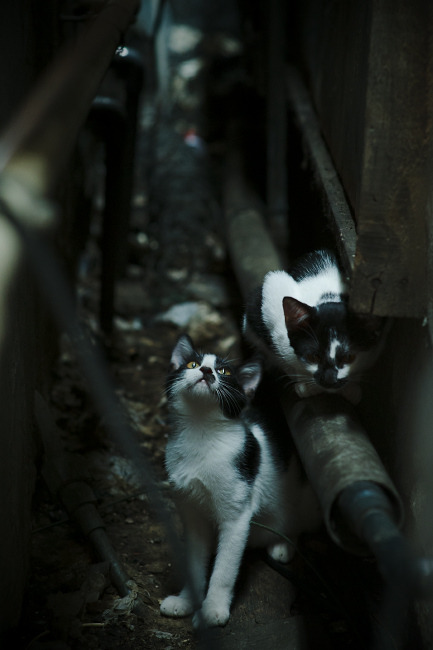 米兰登录入口-国际热身赛U23国足夺冠 球迷高呼荣耀归来，6月2日国足热身