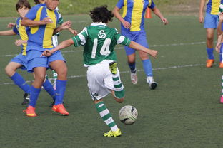 米兰体育APP-女篮亚洲杯中国队力压日本夺冠，亚洲杯女子篮球赛中国对日本