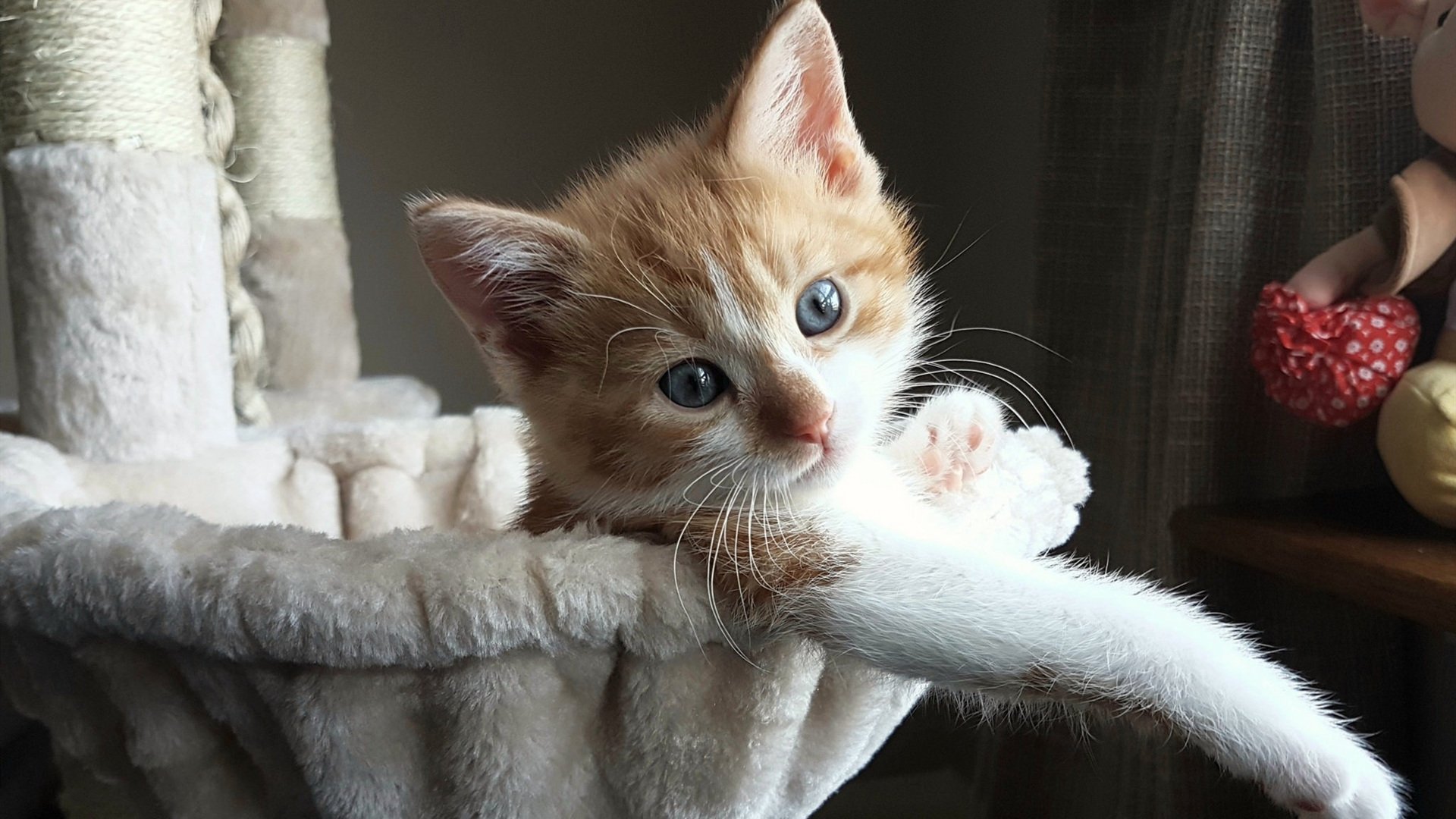 米兰体育APP-成都公布火炬传递路线，五大地标承载文化符号，成都火炬电子