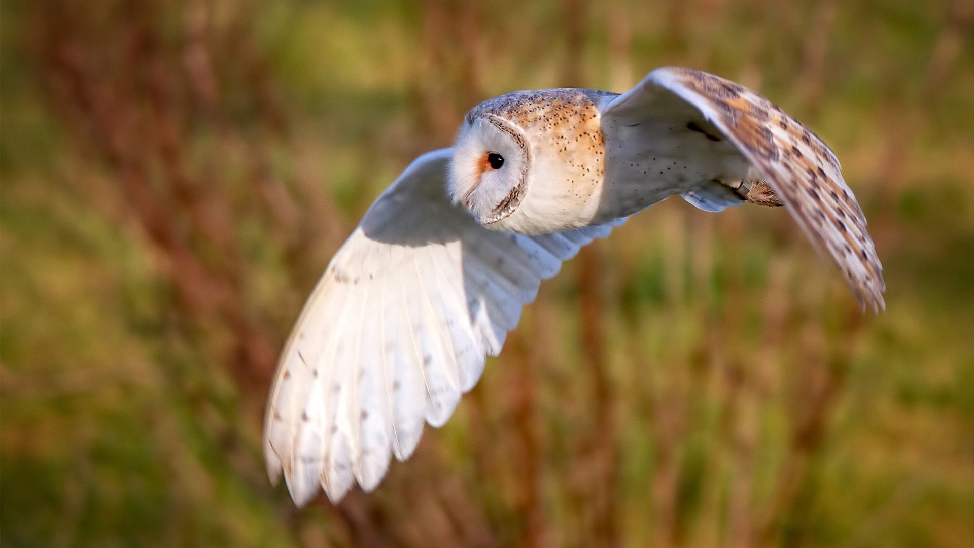 米兰体育-伊利亚·哈伦赛后感谢团队支持