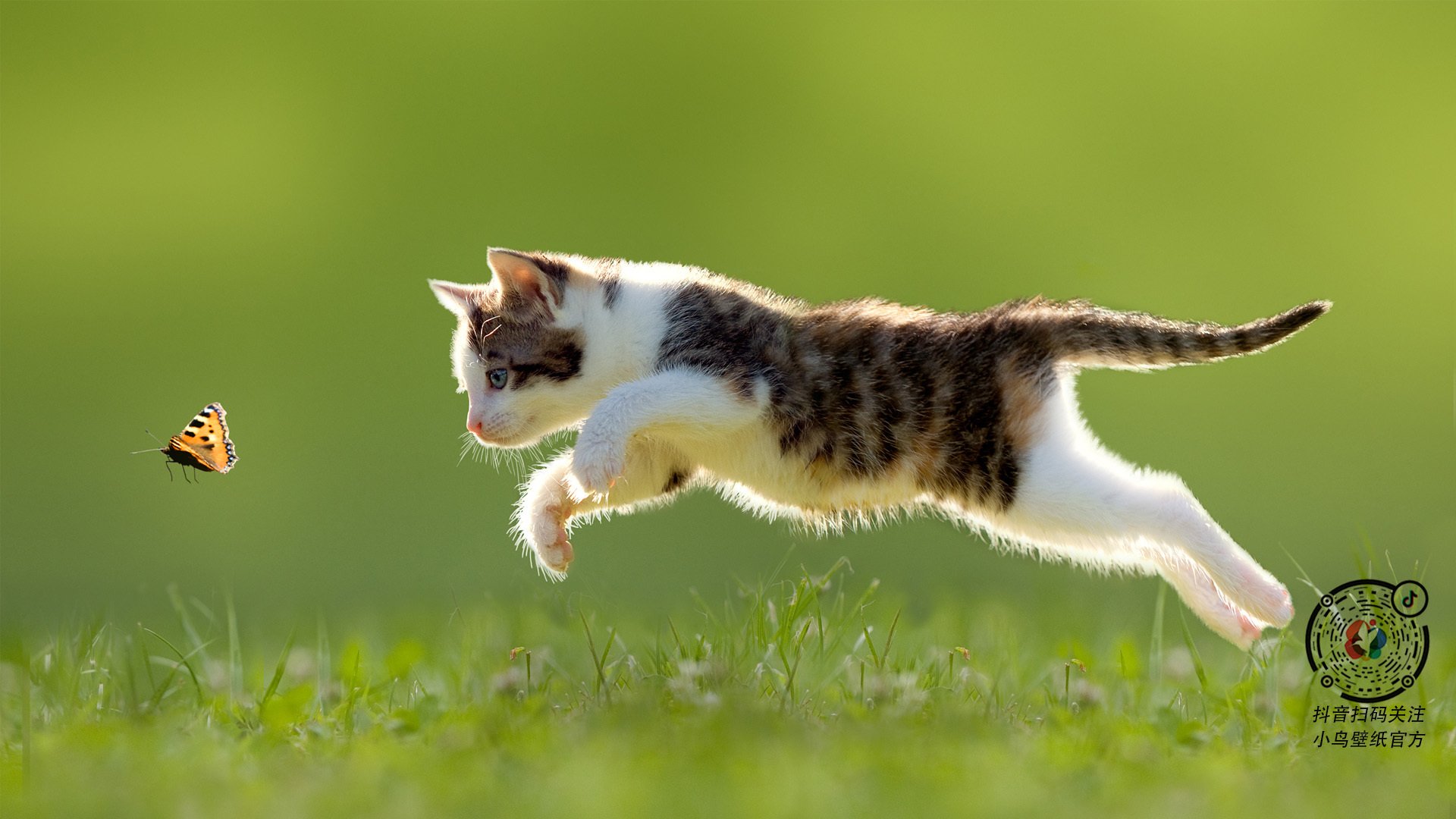 MILANSPORT入口-体育场馆智能化管理案例分享，体育馆智能化方案