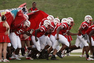 MILANSPORT入口-国际足球联盟推出新赛制，提升比赛公平性和观赏性，国际足联最新审定的足球竞赛规则