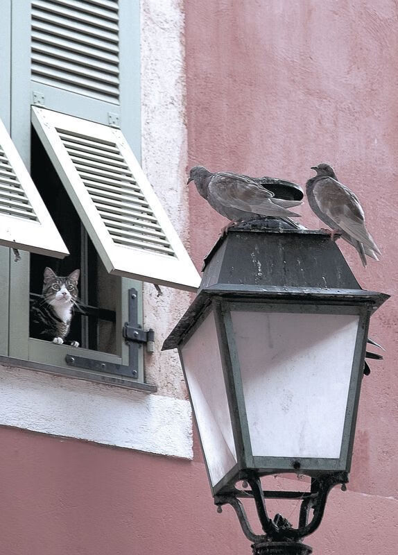 MILANSPORT下载-普劳德感慨：热爱让我坚持至今