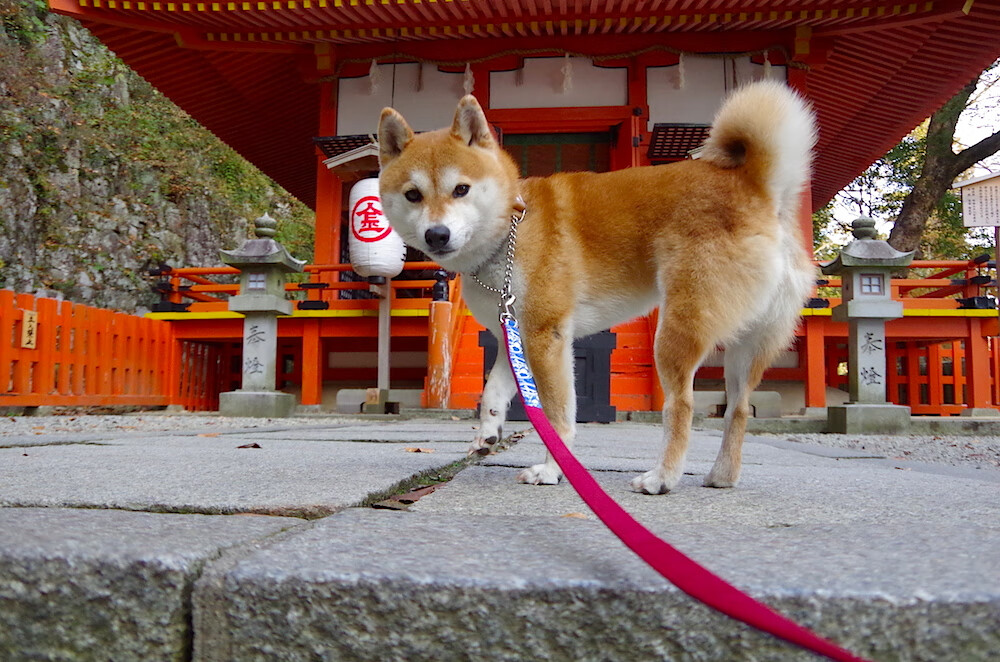 Milan Sports-沃尔什：为这块金牌准备了很久，沃尔为啥是状元