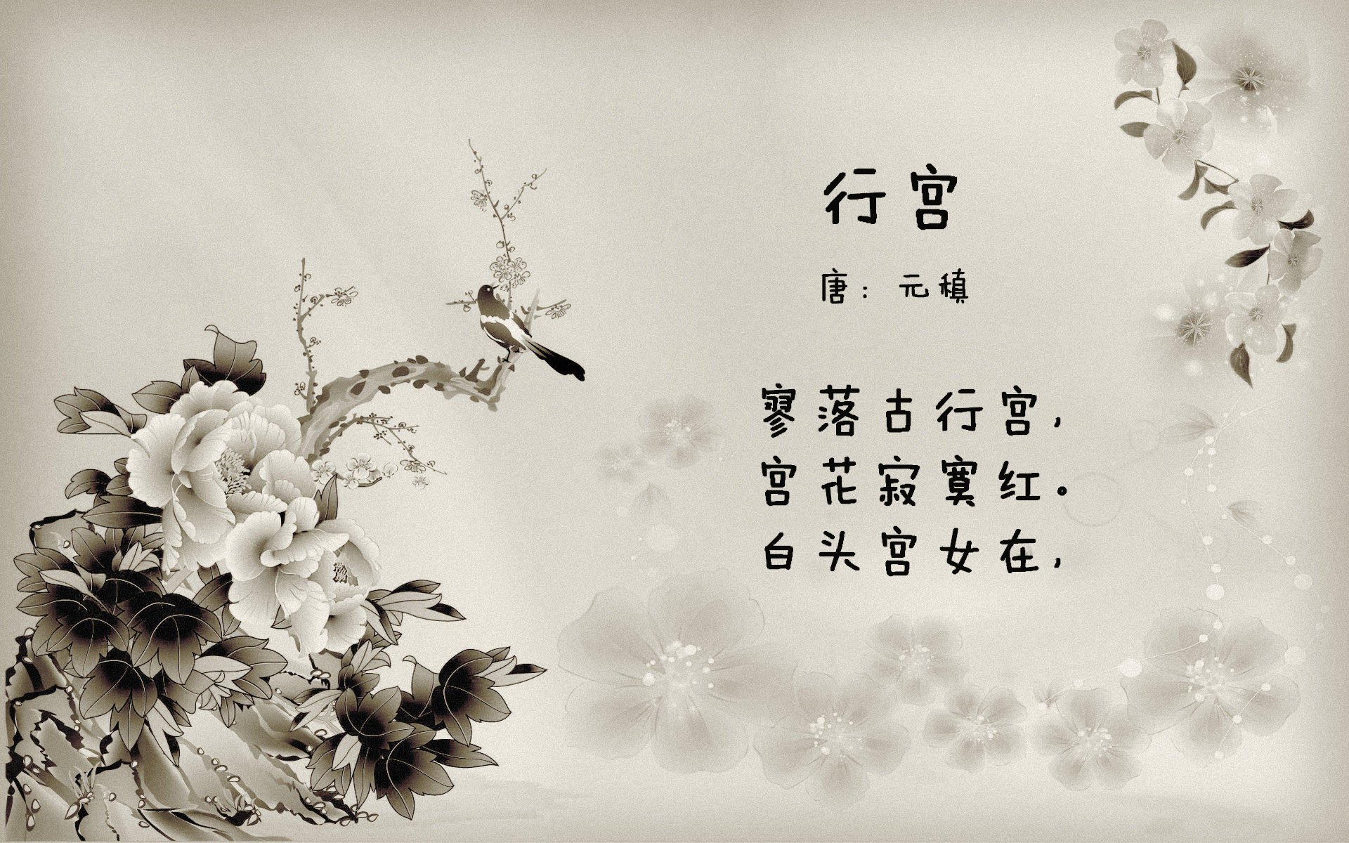 米兰体育官网-波波维奇精准起跳成夺冠关键，波波维奇什么水平