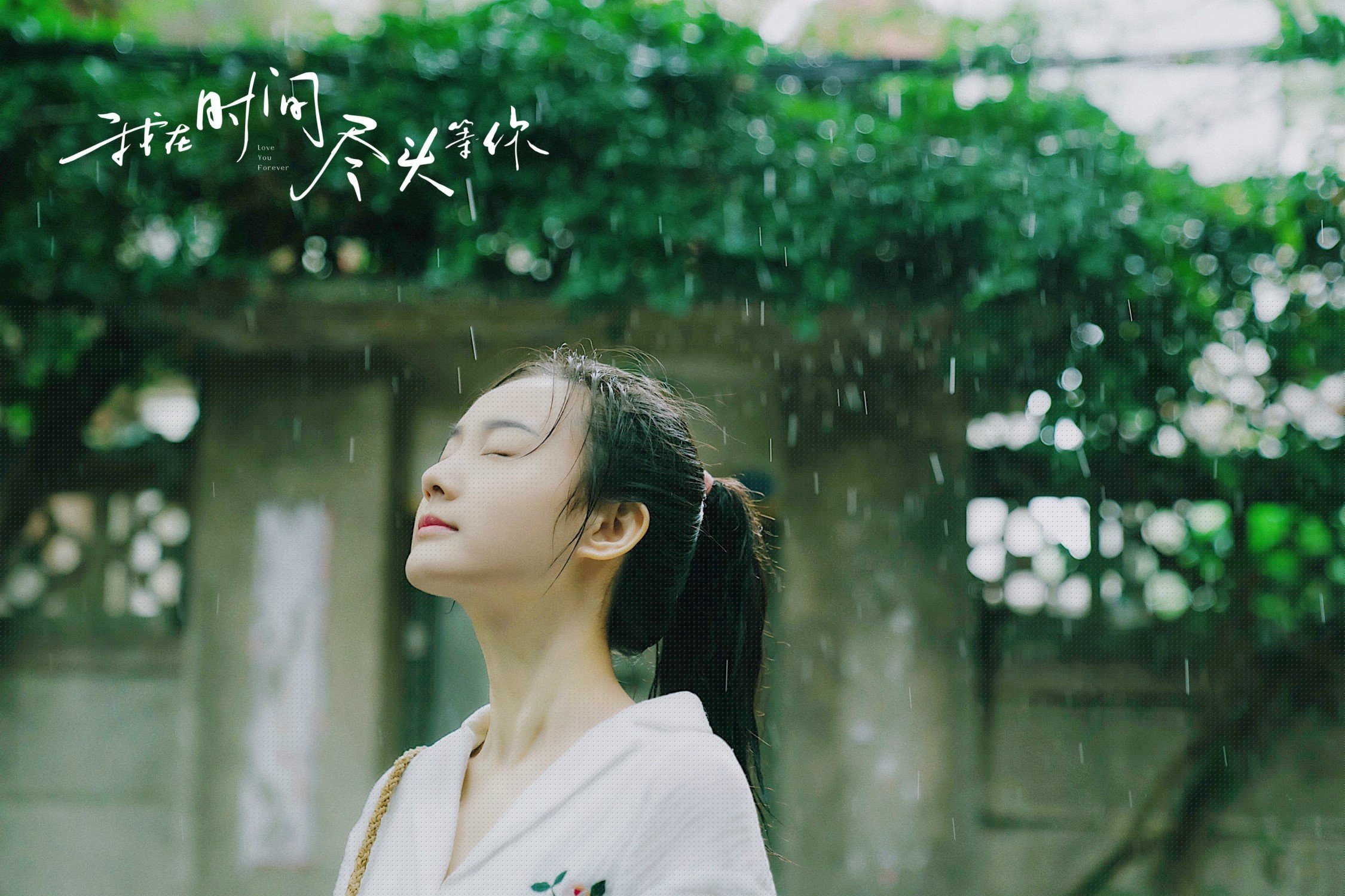 -美洲杯明星盛宴：腾空突破，精彩纷呈！，美洲杯明星球员