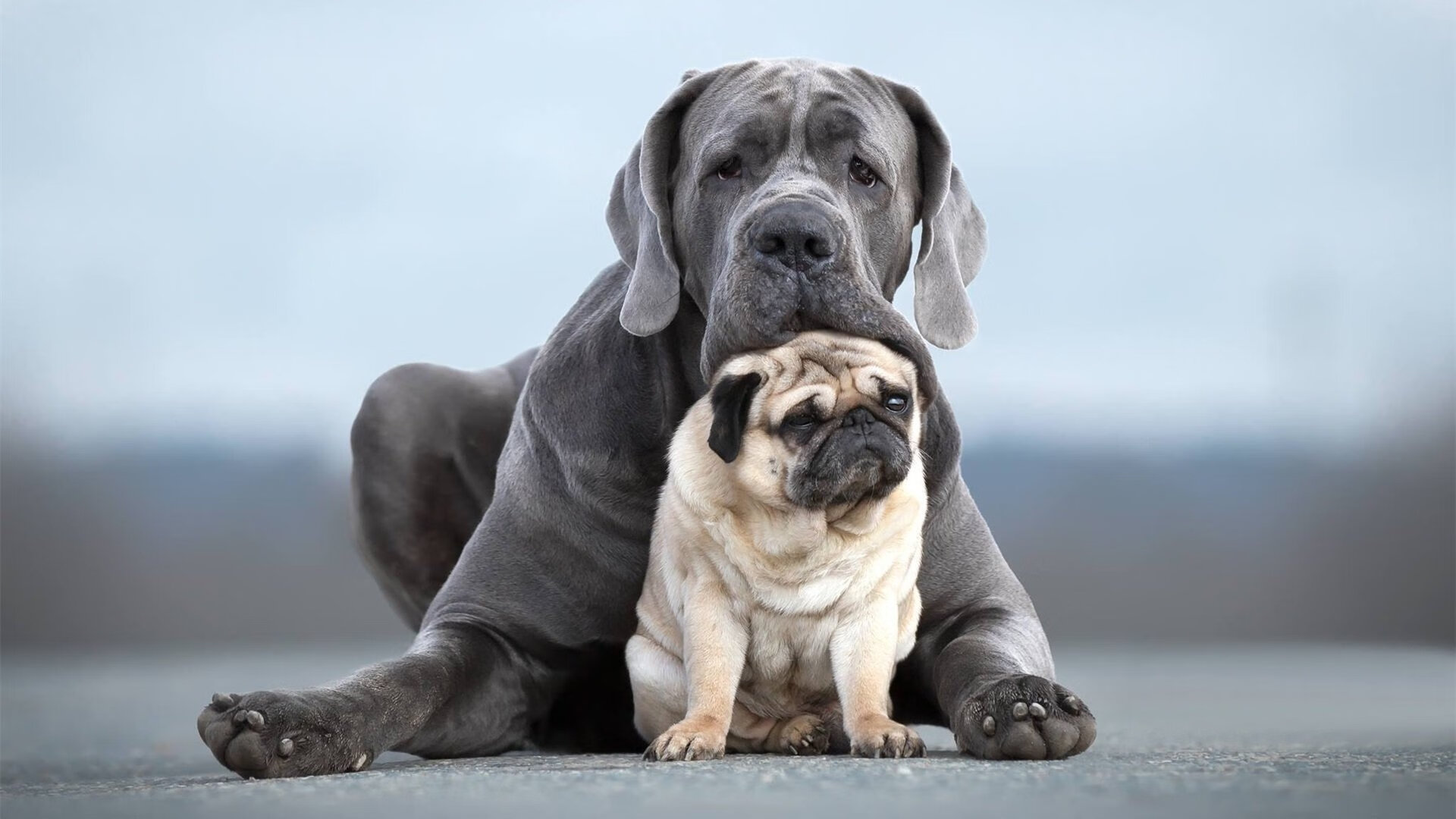 米兰体育-队内多位球员获得技术进步奖表彰其在赛季中持续提升表现，球队奖励制度