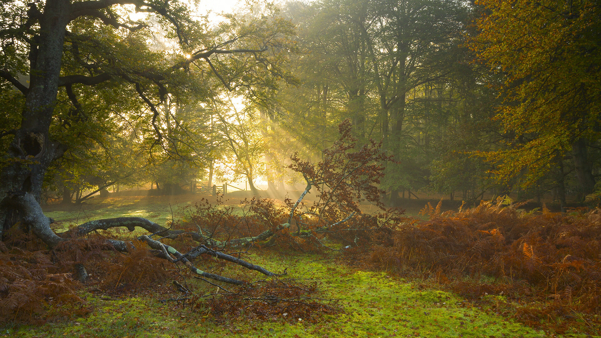 Milan Sports-WTO改革不能“逆全球化”