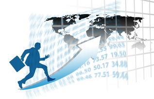 MILANSPORT入口-中国篮球俱乐部商业拓展与会员制度研发尝试,篮球俱乐部的运营模式